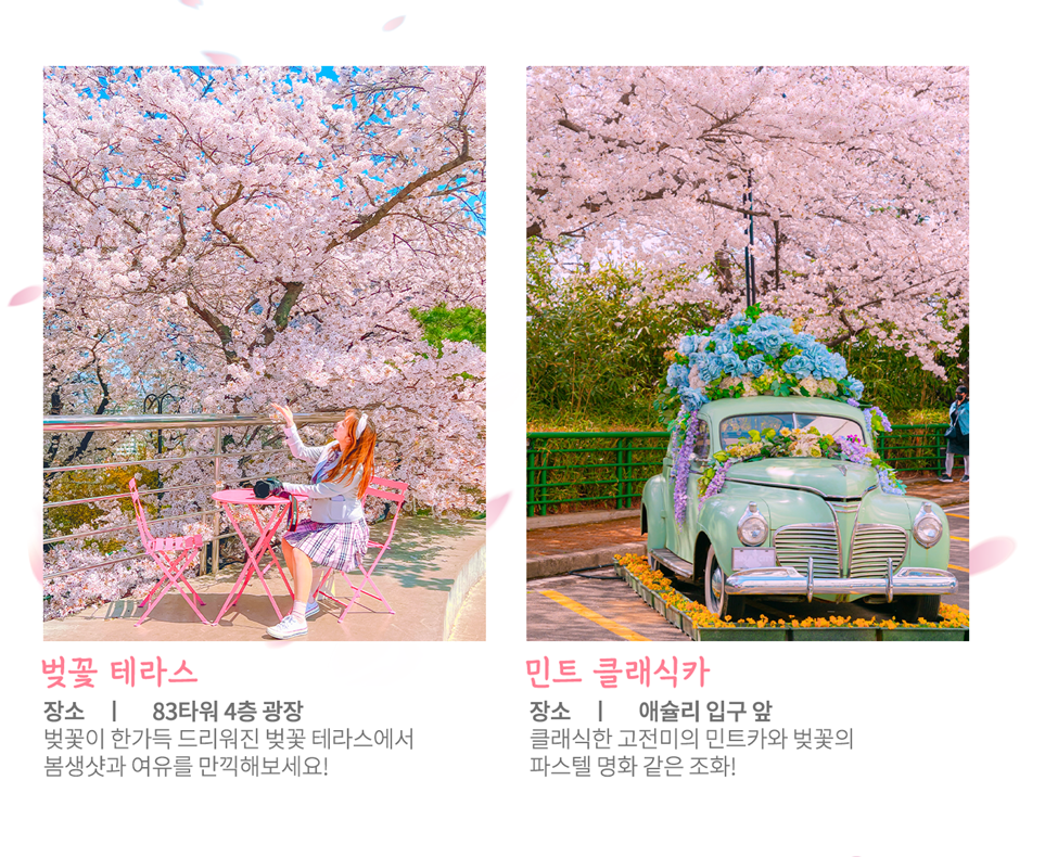 이월드 벚꽃 포토존