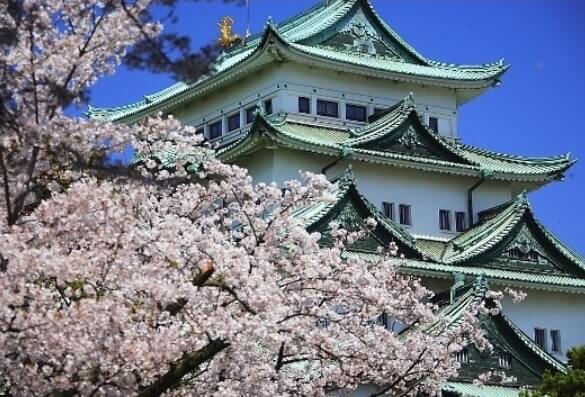 나고야 벚꽃 명소