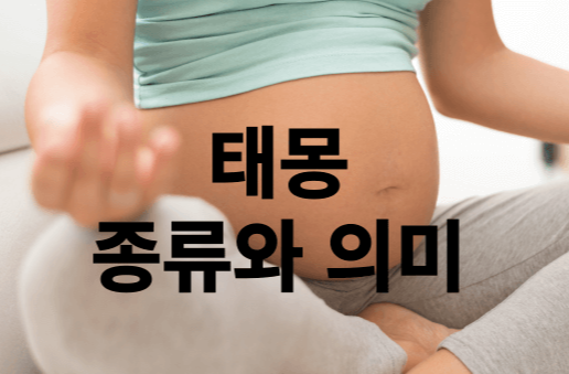 임신 8개월 정도의 엄마 배 사진