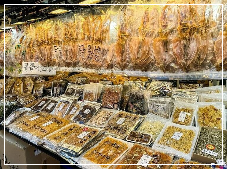 포항 가볼만한곳 베스트10 죽도시장