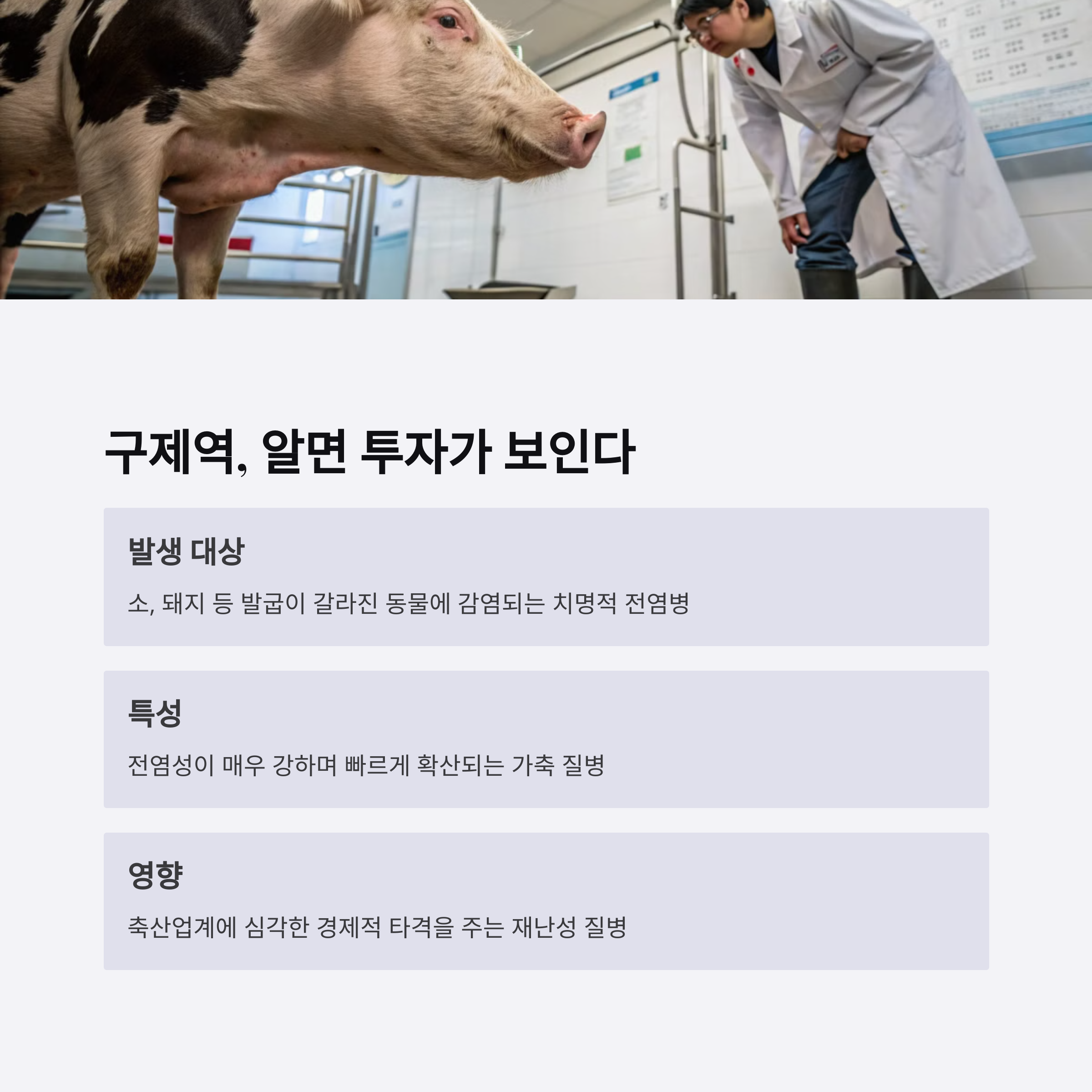 구제역 관련주, 지금이 기회?! 주식 시장 반응 대공개!