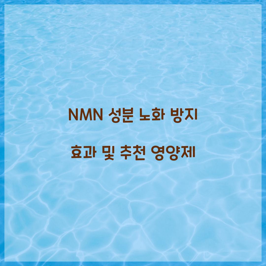NMN 성분 노화 방지