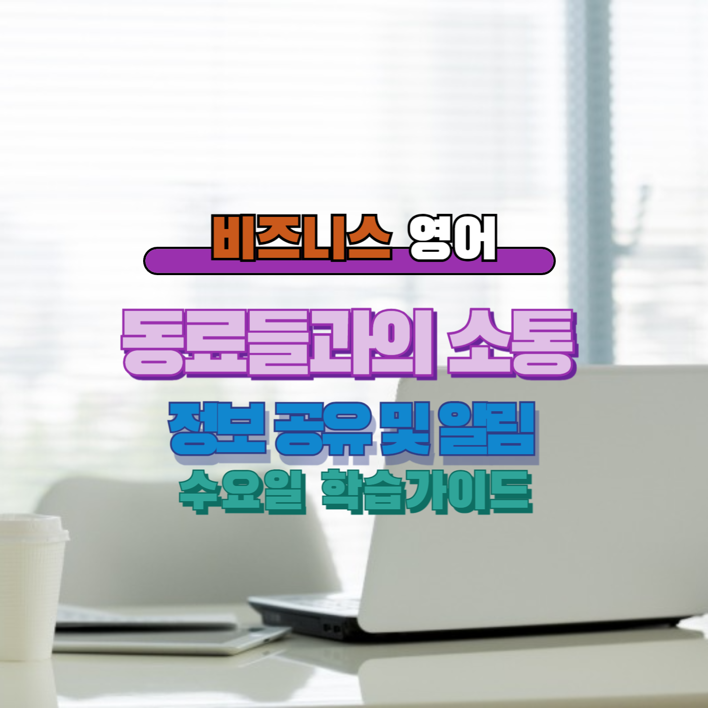 직장인 비즈니스영어 정보공유및알림