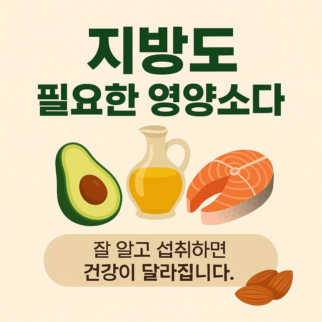 지방도 필요한 영양소다