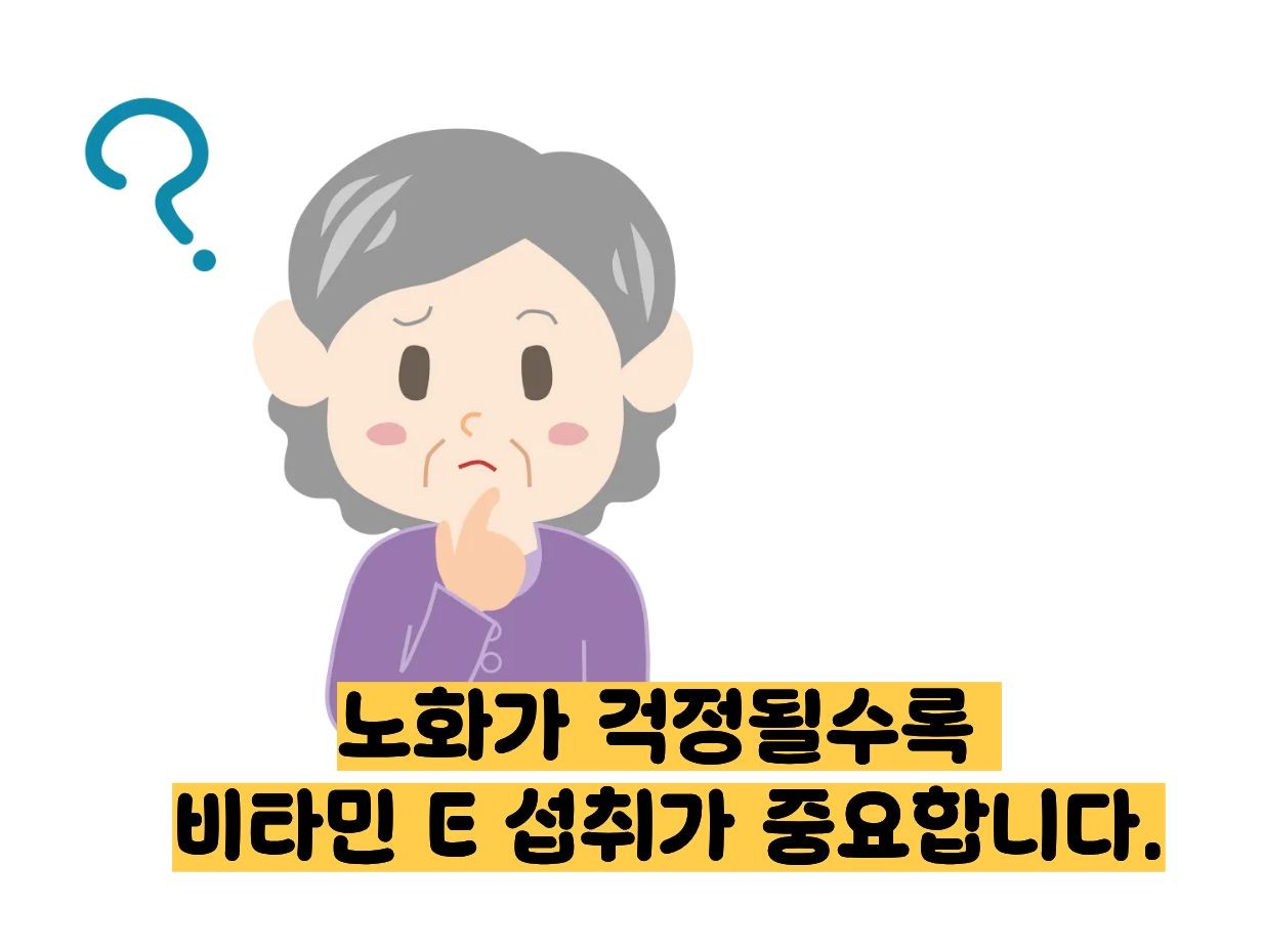 비타민e의 효능