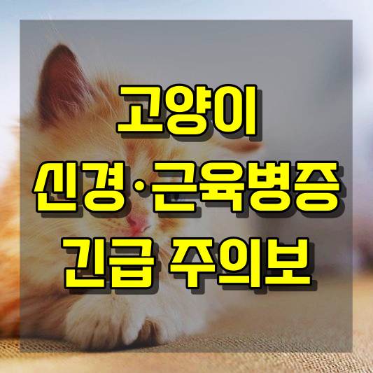 고양이 신경·근육병증 긴급 주의보