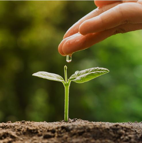 채무통합 대환대출