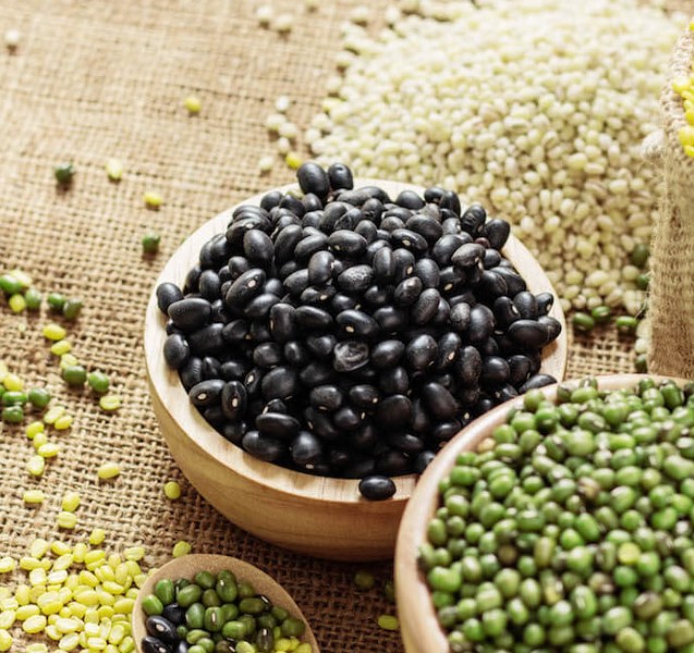 검은콩 효능