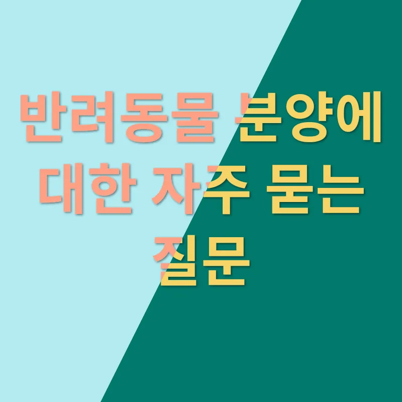 반려동물 분양_3