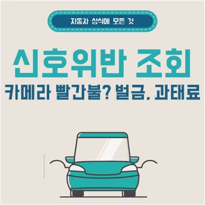 신호위반 조회 방법 총정리