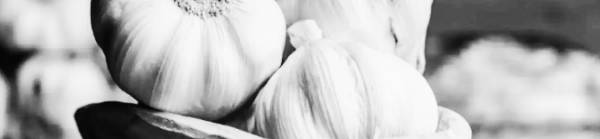 마늘 보관법: 2주 정도 건조