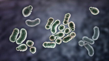 발바닥 껍질 벗겨짐 원인은?, 발바닥은 지속적인 충격을 받는 부위로 심장에서 가장 멀고 혈액순환이 잘 되지 않는 부위입니다. 일상생활 중 자주 손을 씻고 눈으로 확인하는 부분이지만, 발은 양말이나 신발을 신는 등 자주 눈여겨보지 않는 부분입니다. 그렇다면 왜 발바닥 껍질이 벗겨질까요?