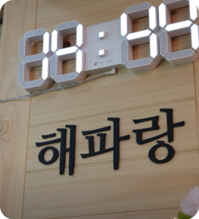 생방송 투데이 키워드다큐 성공인 박달대게 영덕 강구항 맛집