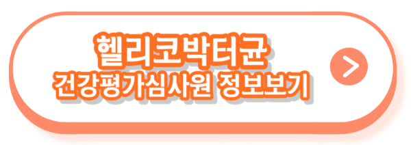 헬리코박터균 치료비용, 꼭 치료해야하나, 좋은음식
