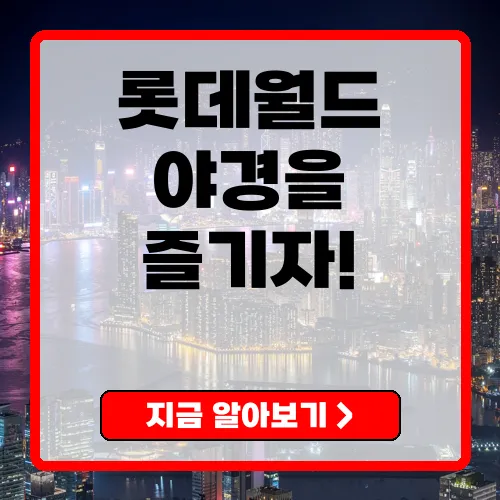 롯데월드 야간개장