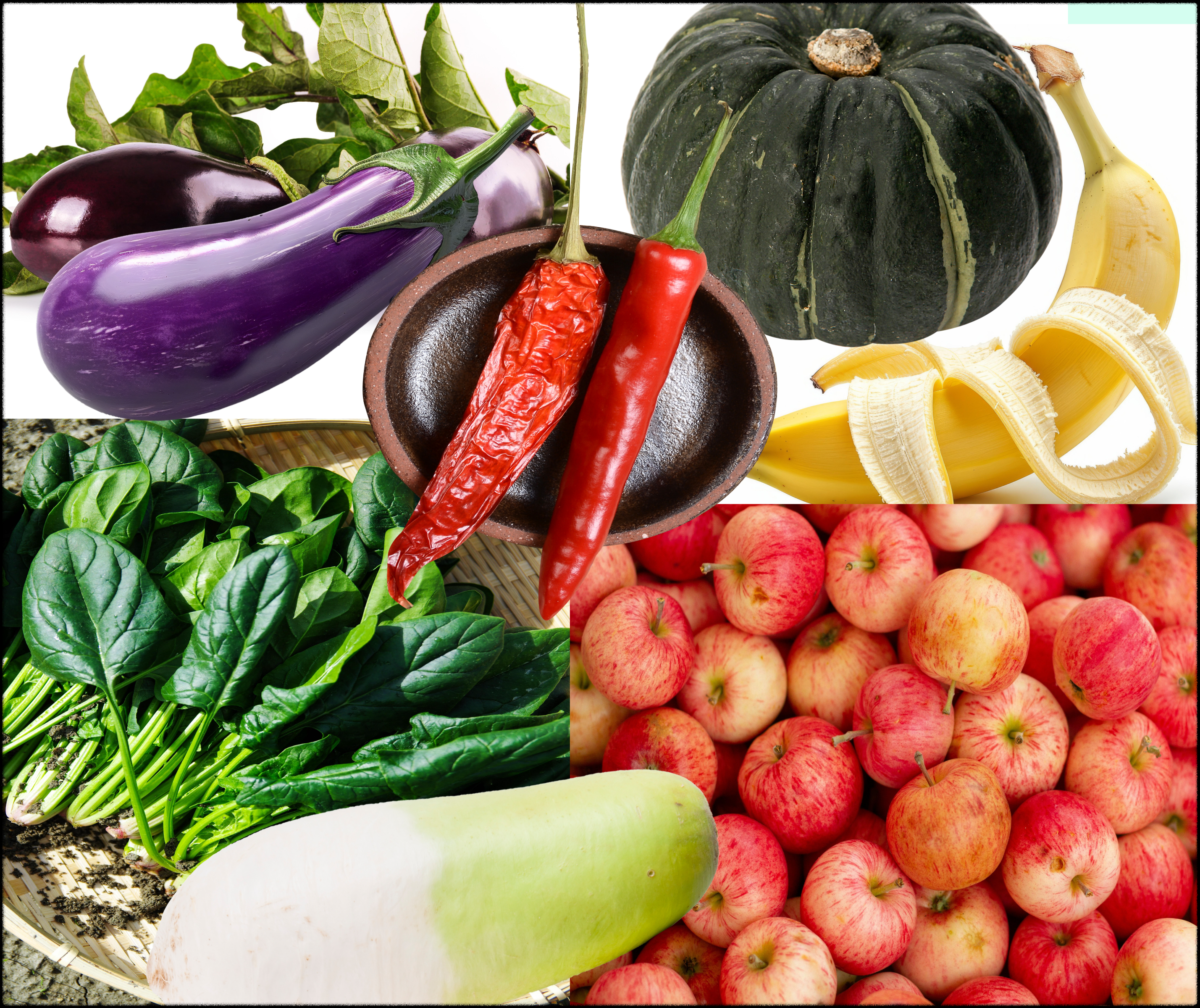 음양오행 5가지 색깔의 음식