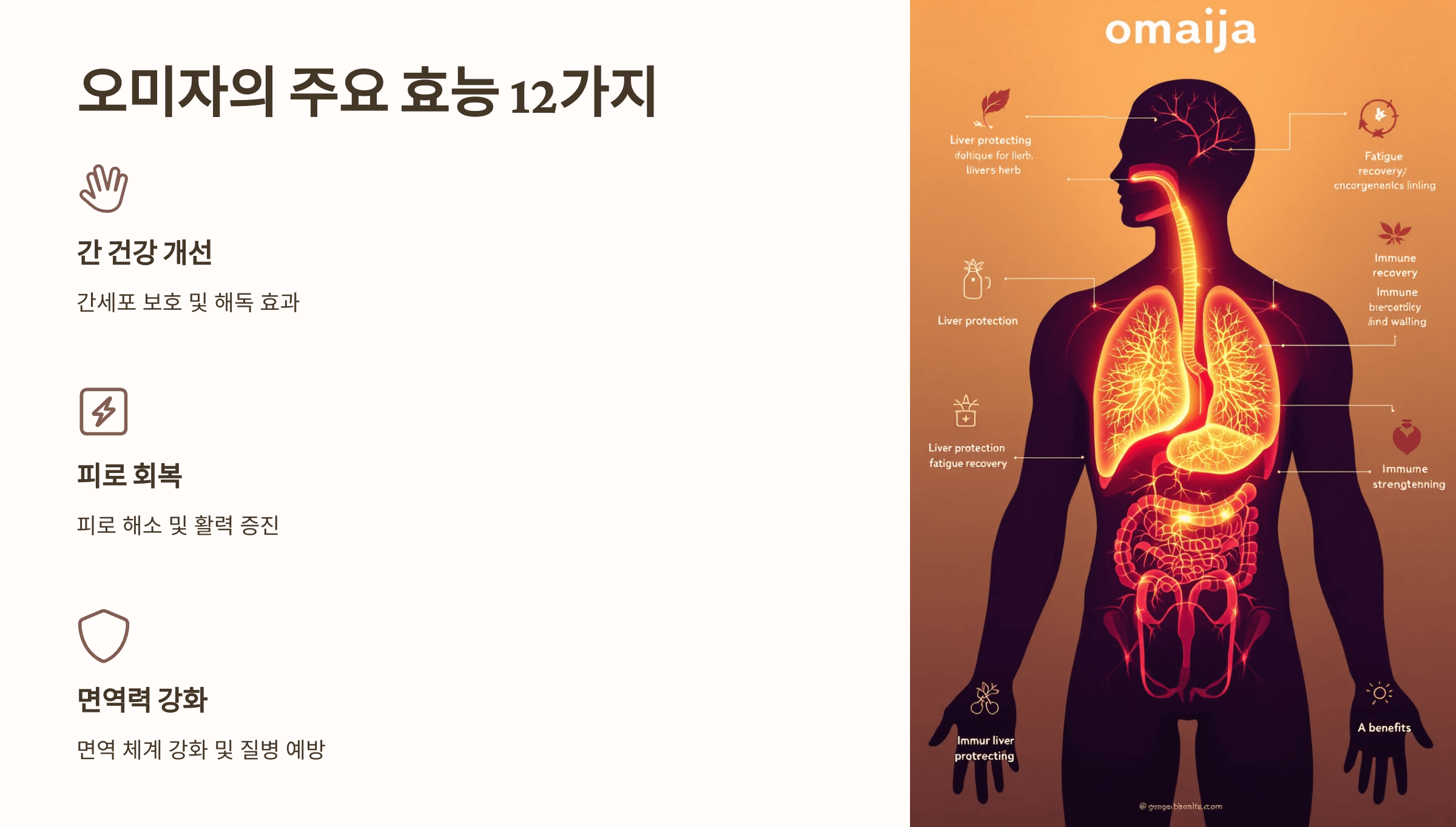 오미자 사진입니다.