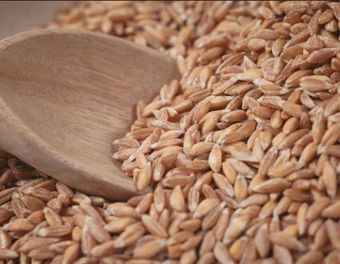 파로 곡물(파로 쌀) 사용 후기