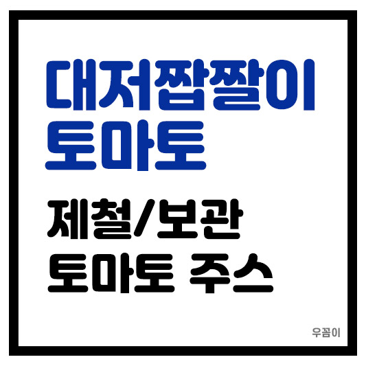 대저짭짤이토마토 제철 보관 주스 만드는 방법