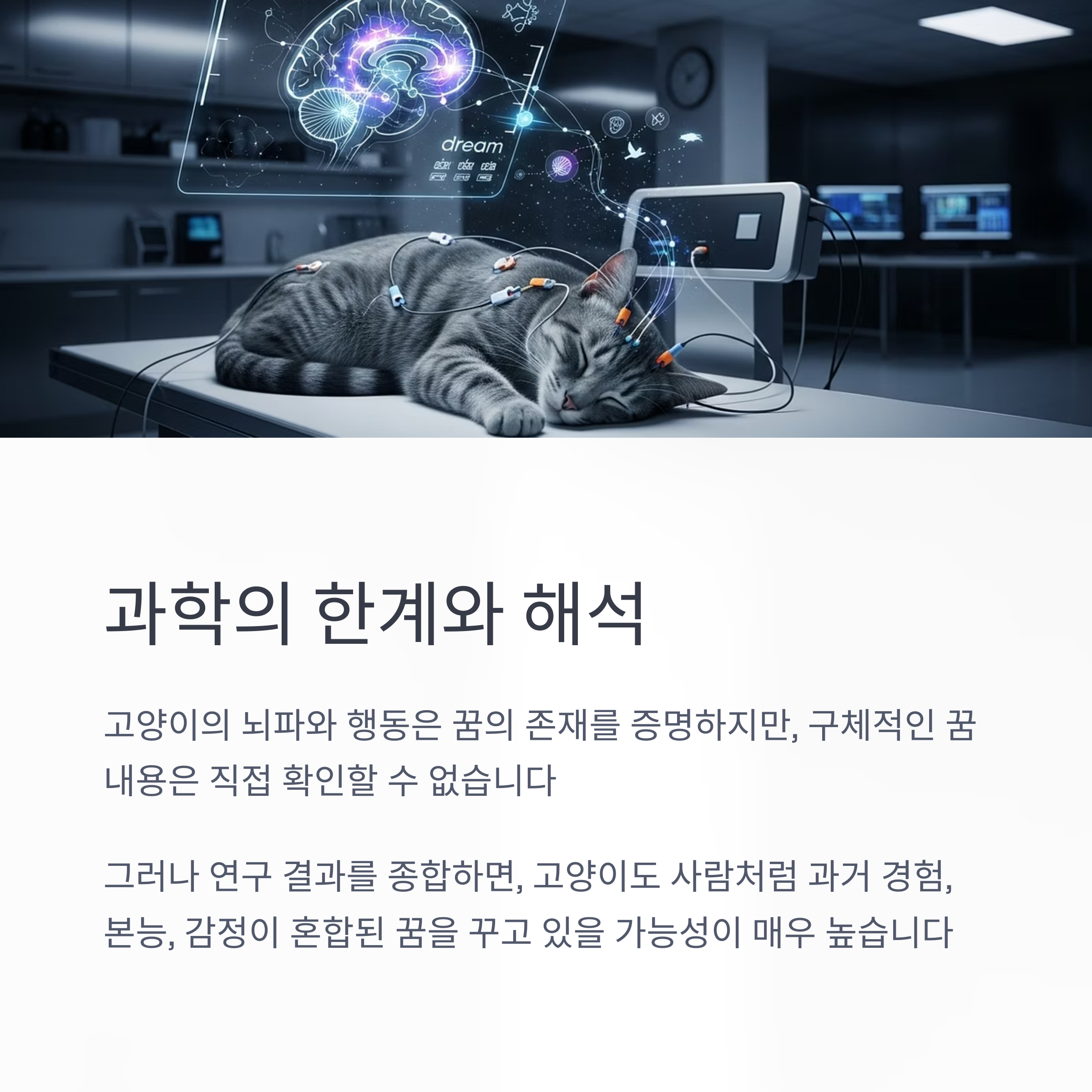 과학의 한계와 해석