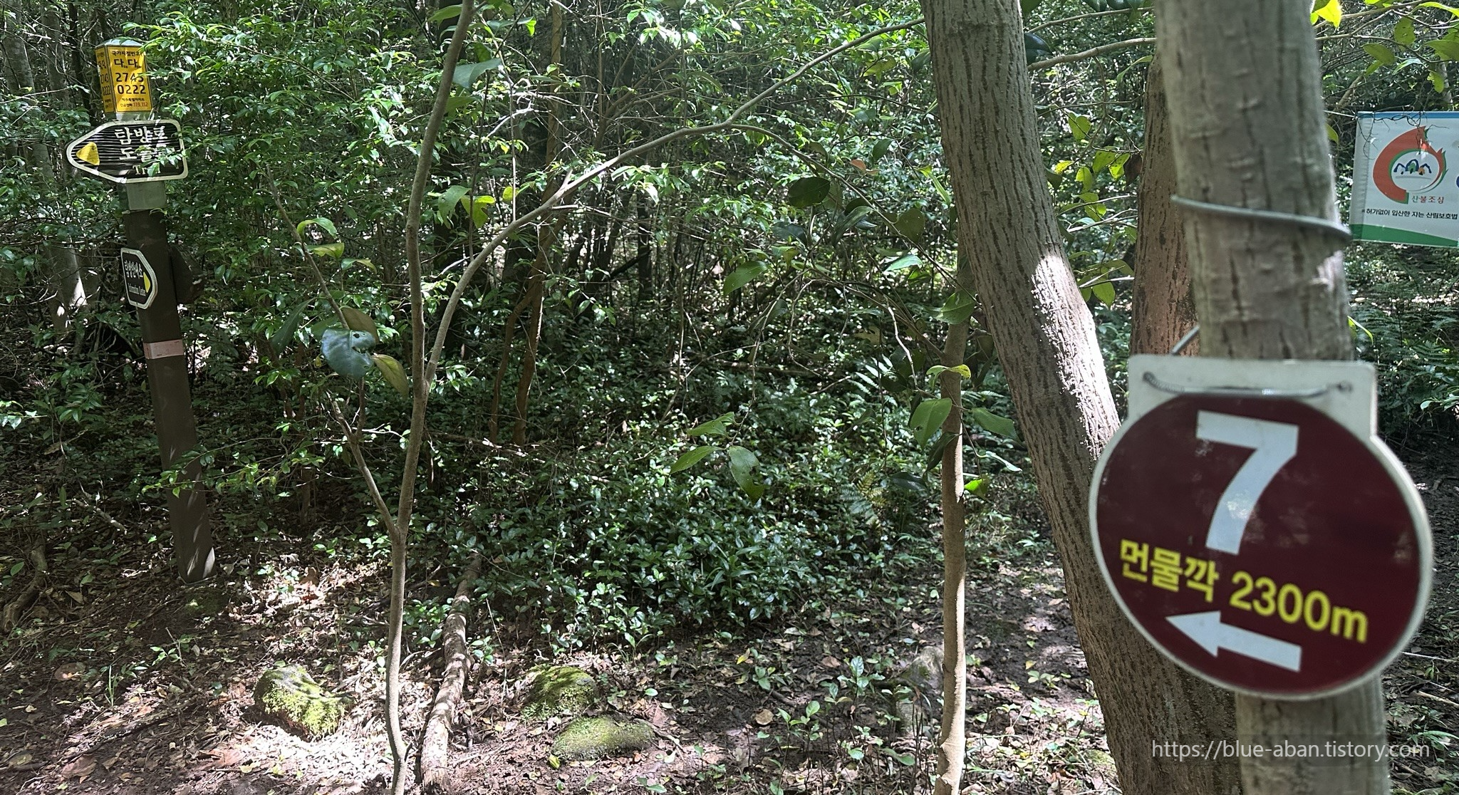 동백동산-산책로