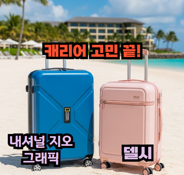 내셔널지오그래픽 델시 캐리어