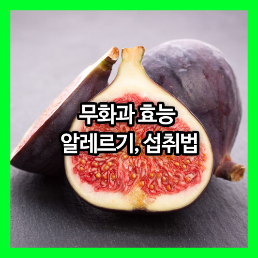 "과일의 여왕" 무화과! 알레르기부터 섭취법까지 꼭 알아야 할 건강 이야기
