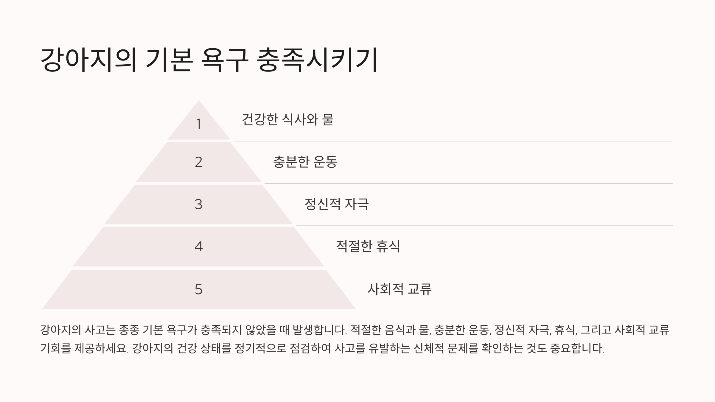 강아지의 기본 욕구 충족시키기