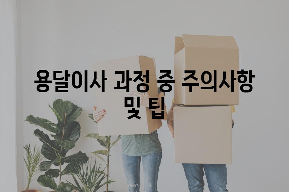 용달이사 과정 중 주의사항 및 팁