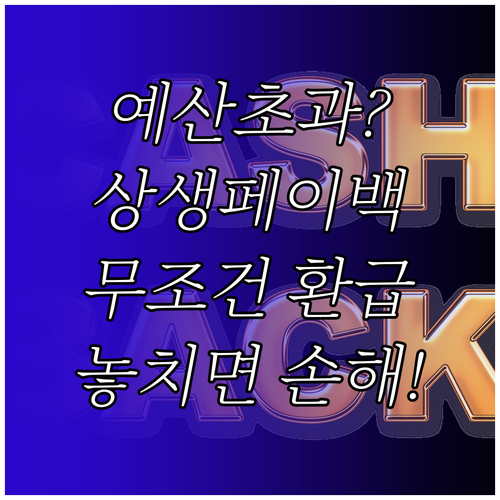 예산 내에서 모두에게! 상생페이백환급..