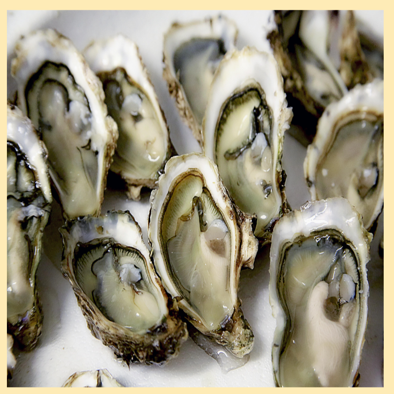 굴의 놀라운 효능 면역력 증가