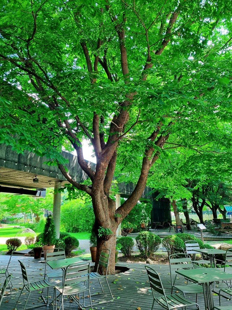 서울근교 계곡 추천: 송추계곡 맛집, 자연을 담은 양주 헤세의 정원