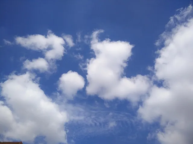 대전복합 인천공항 리무진 버스 시간표 요금 예매방법까지_7