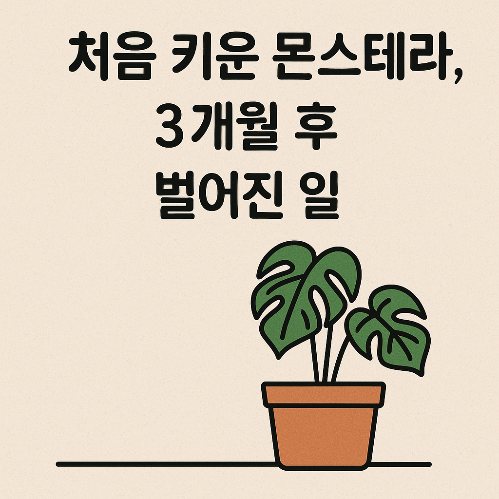 초보자가 처음 기른 몬스테라 식물의 3개월 후 모습을 상징