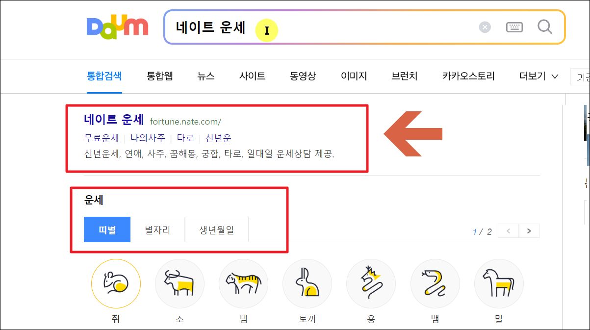 네이트 운세를 검색