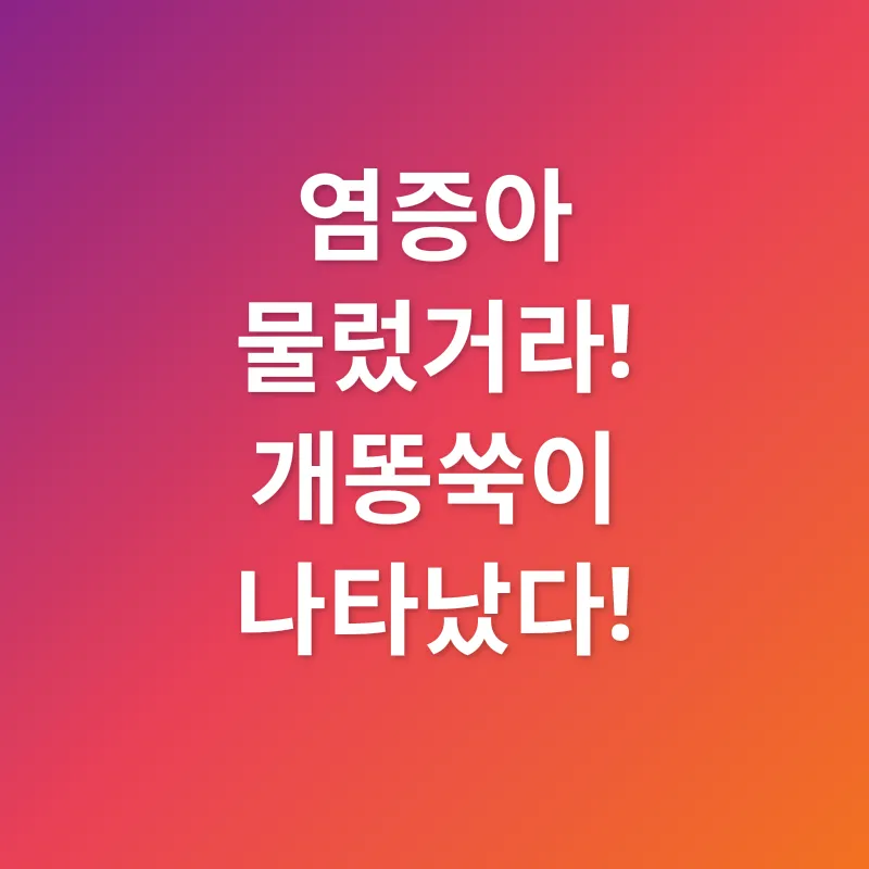 개똥쑥 효능_2