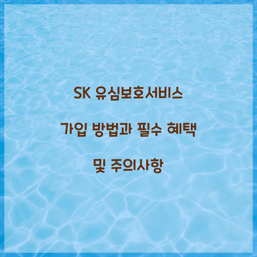 SK 유심보호서비스 가입