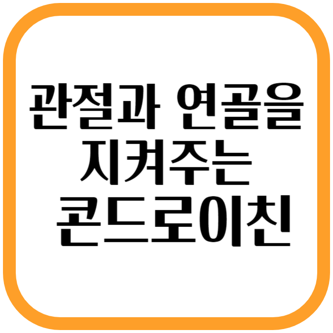 관절과 연골을 지켜주는 콘드로이친