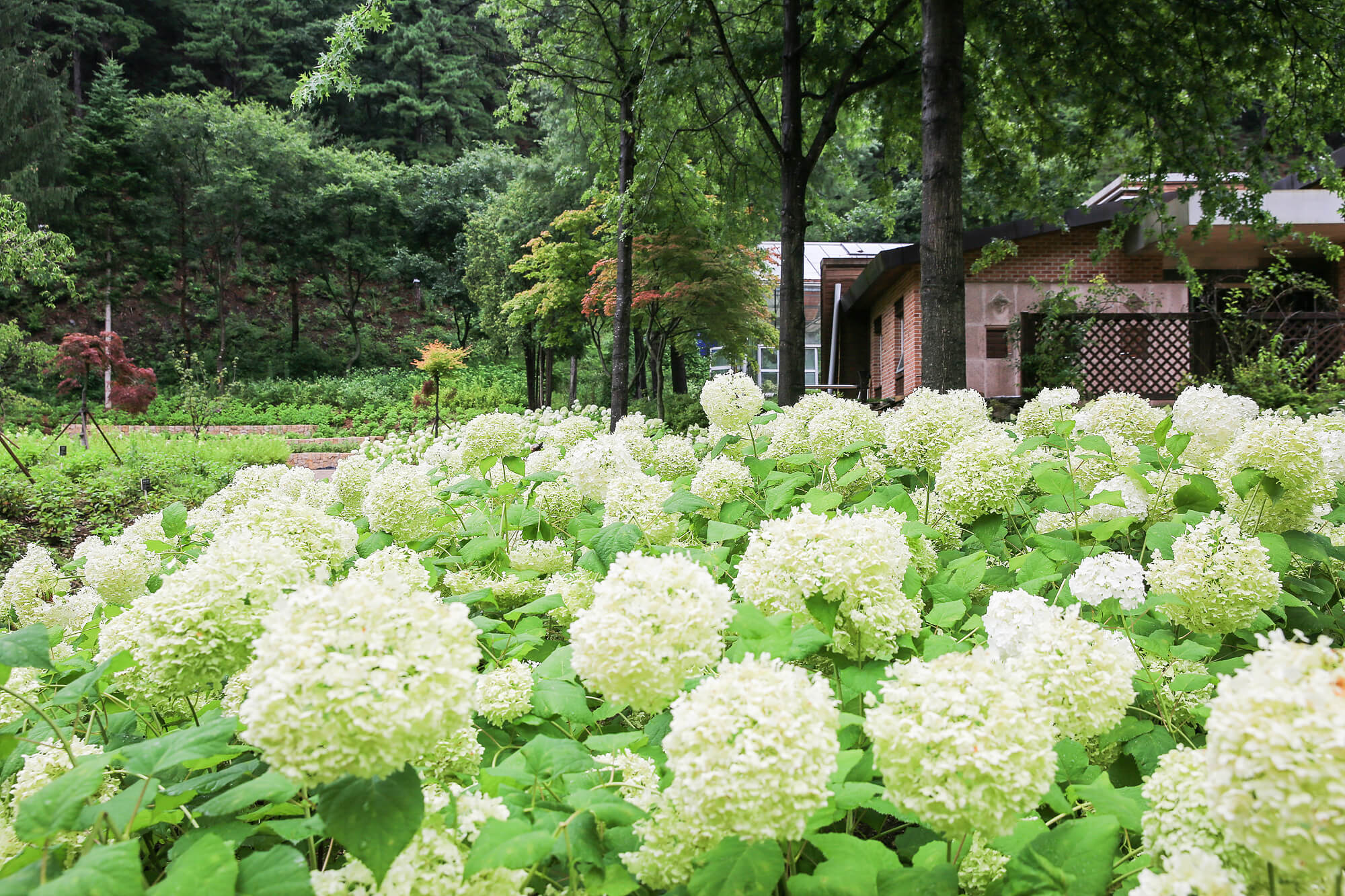 미동산수목원