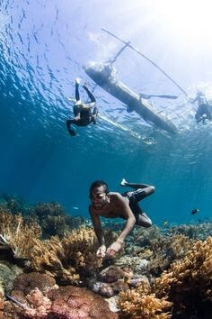 산호가-가득한-바다속에서-무엇인가를-찾는-다이버들