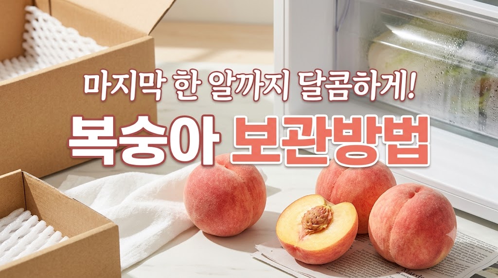복숭아 보관방법