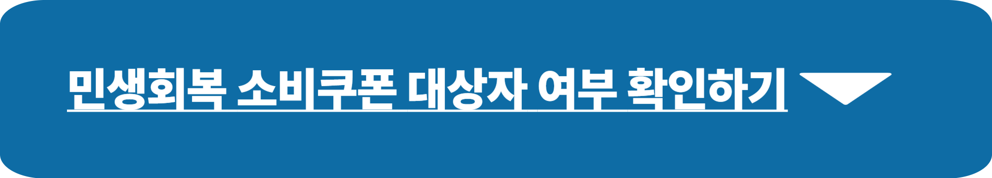 민생회복 소비쿠폰