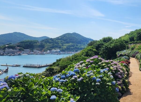 생생정보 한눈에 반했 섬 전남 고흥 쑥섬 돌담밥집 및 쑥섬 배편 예약방법 생생정보 2305회