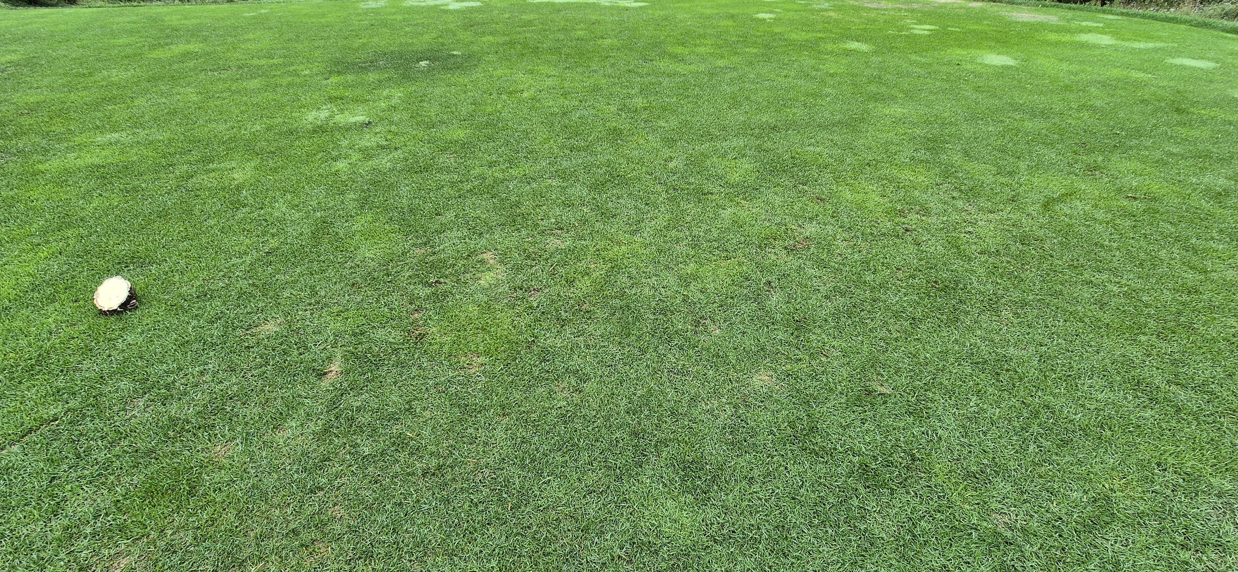 더플레이어스cc