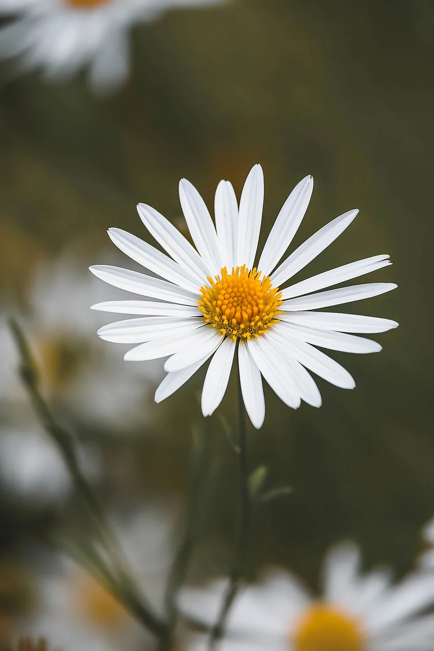 희귀 멸종위기 식물