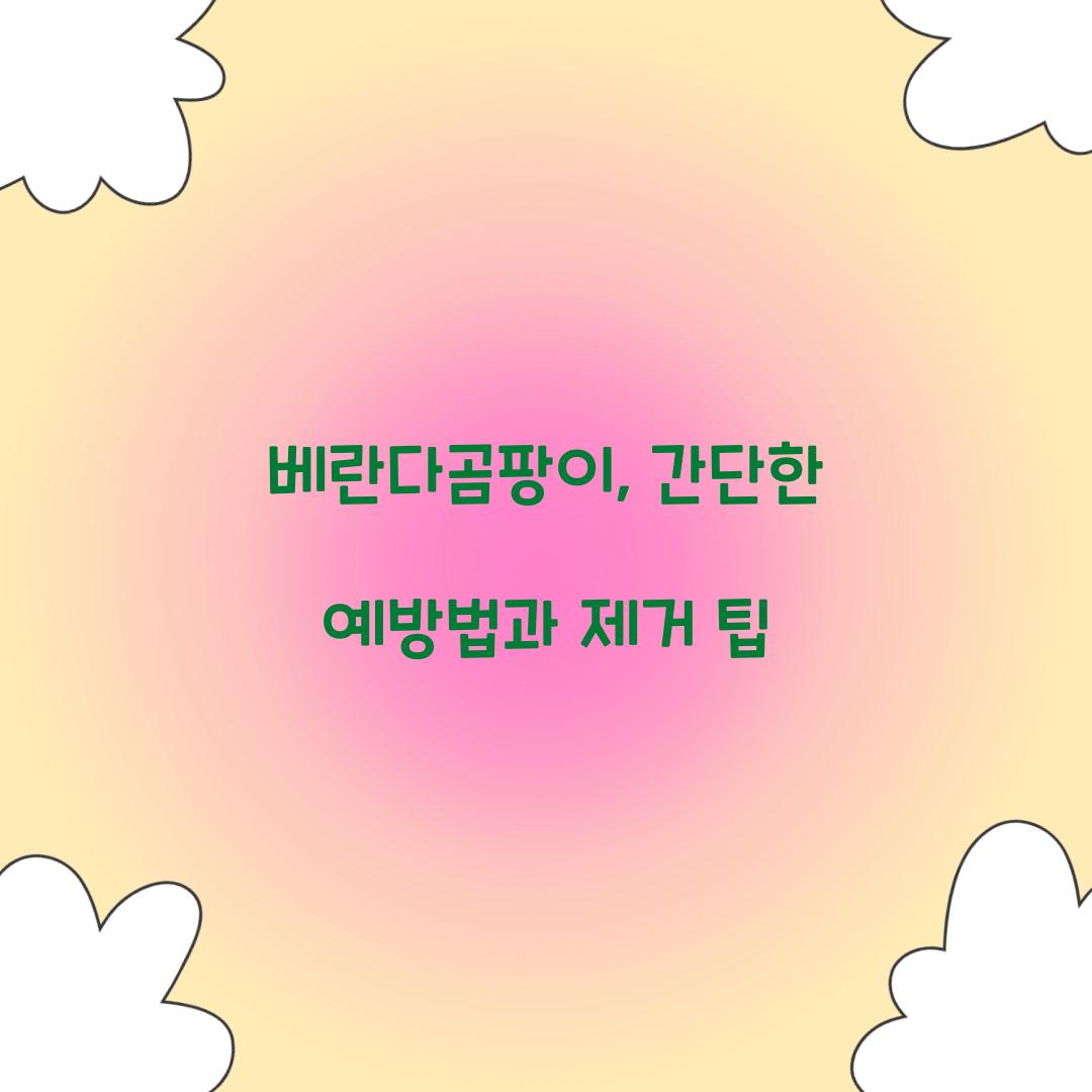베란다곰팡이