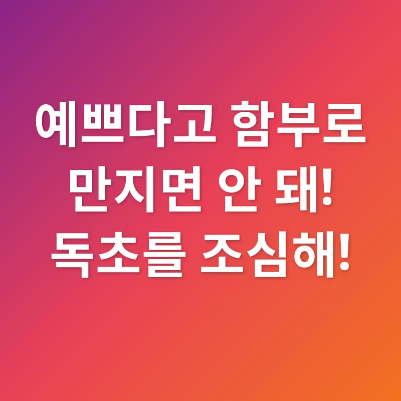 약초의 효능_3