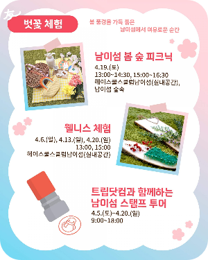 남이섬 벚꽃 체험 이미지 출처: 남이섬 홈페이지