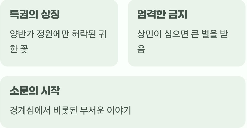 왜 ‘양반꽃’이라 불렸을까요?