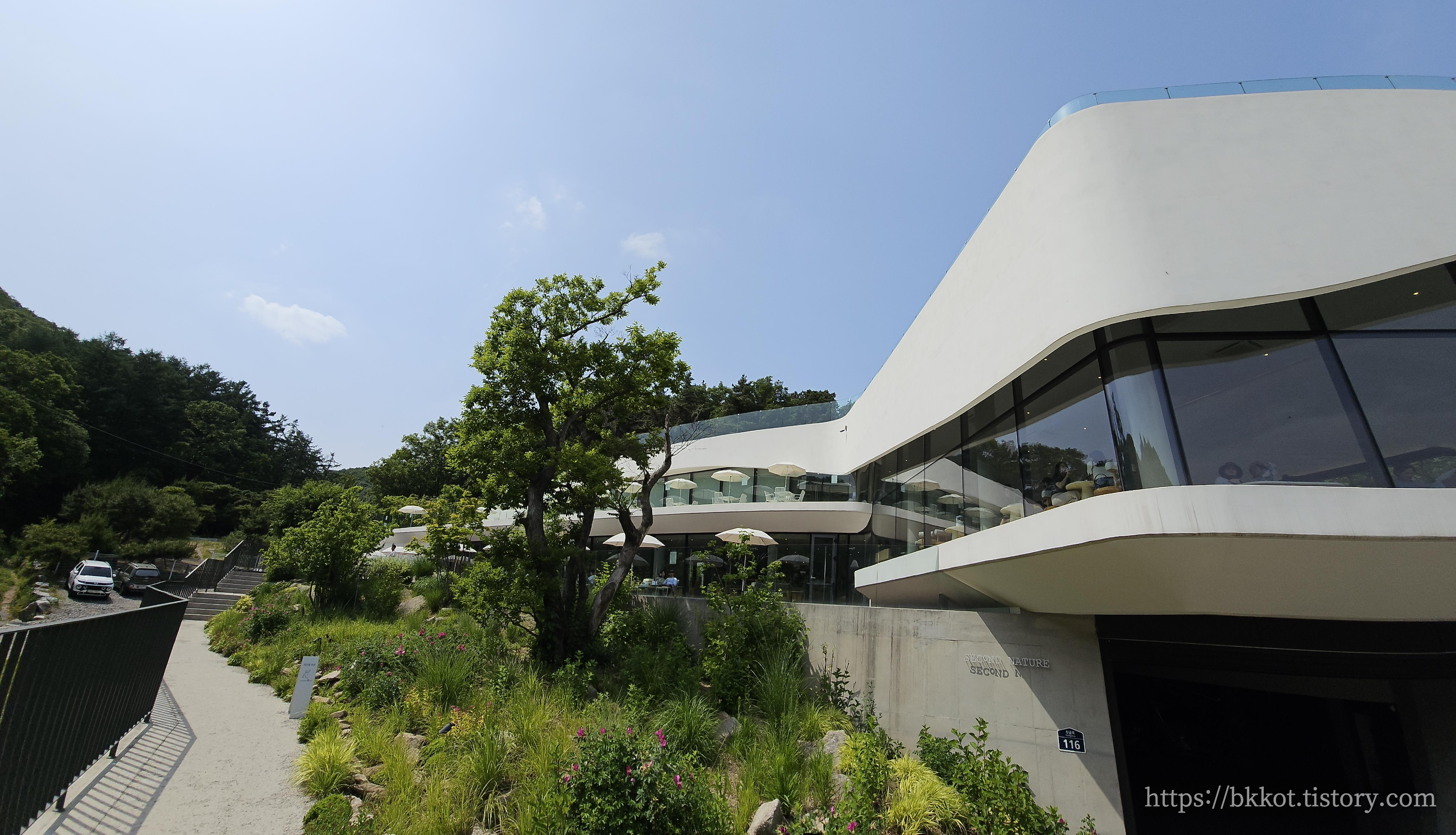 모아니 카페 사진